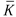 $\bar K$