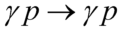 $\gamma p \to \gamma p$