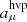$ a_\mu ^{{\rm{hvp}}} $